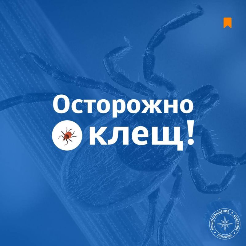 ГУпЧС: чтобы не встретиться с клещом, помни: