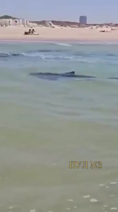 � ������� ���� �������� �������� � ���� ����� � ������ � ���� ��� �� ������� ��������: