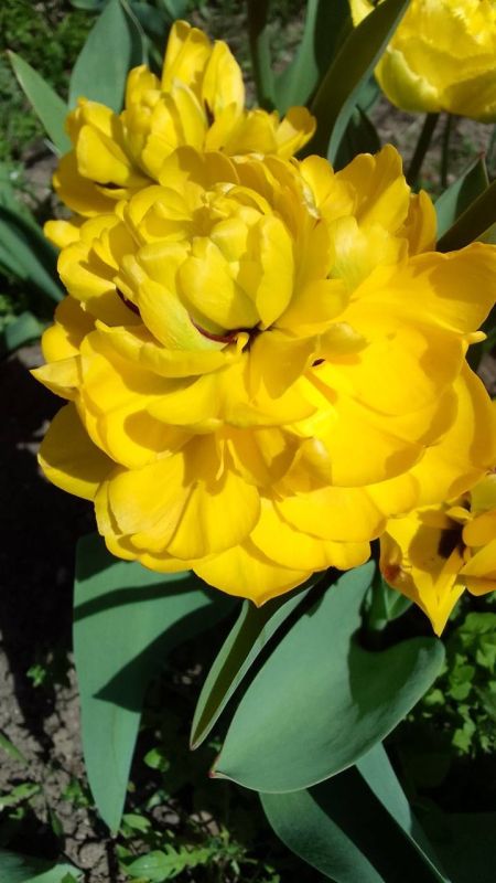 �������� � ����� ��������, � ���� ����� �������� �����