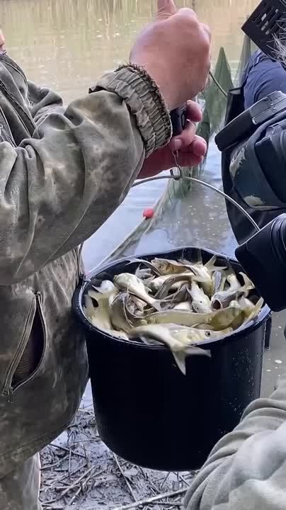 � ������� ����� � ��������������� ������� �������� ������� ����� ����