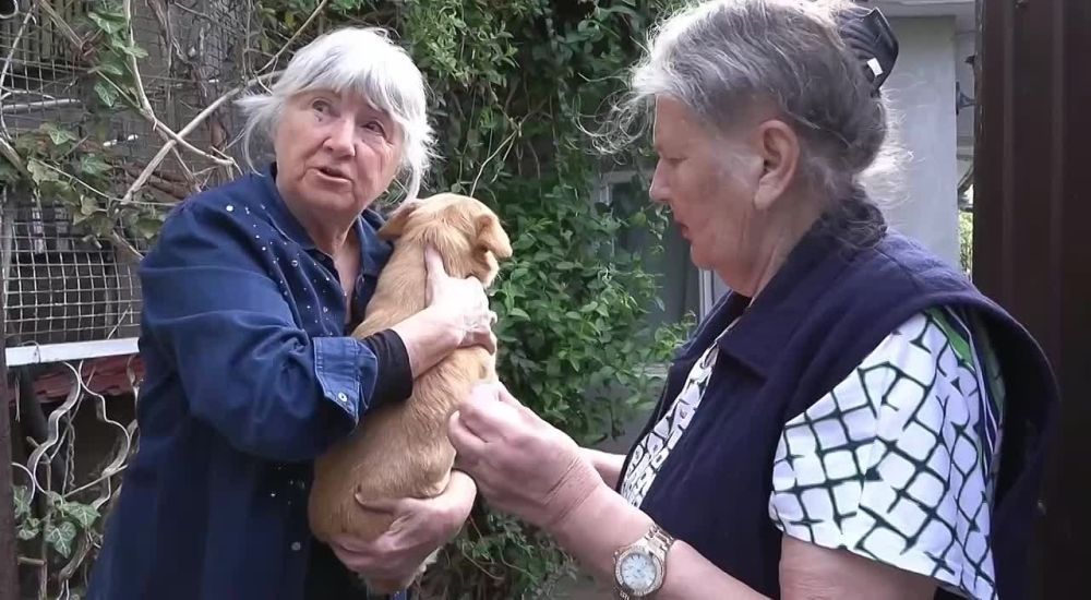 � ��������� ������� ���� � ������ �������� �� ��������� ������ � �������