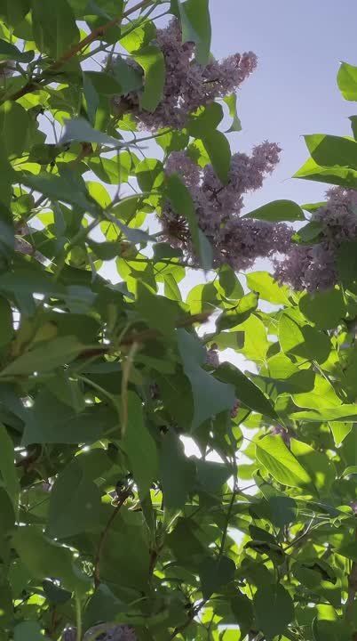 �������� ������ � ��������� ������ ���������