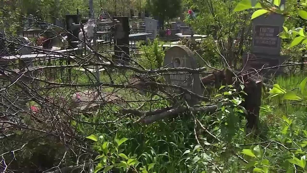 � ��������� ������� ������� ������, � ��� ����� �� ������ ��������� ������� �������������