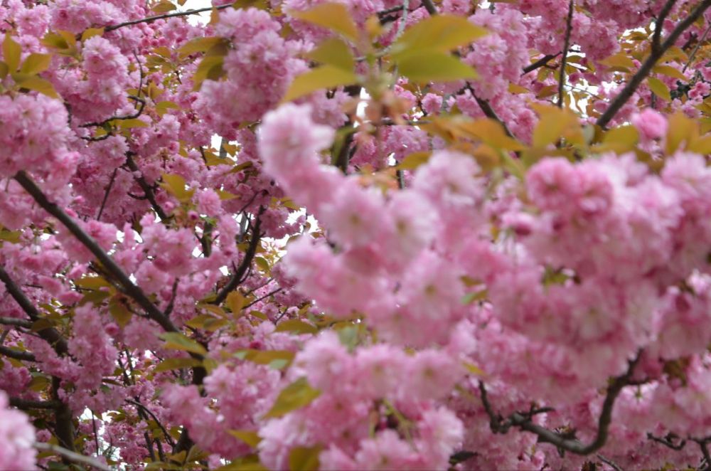 ����� ������� ������, �������, ��� � ��� ����������