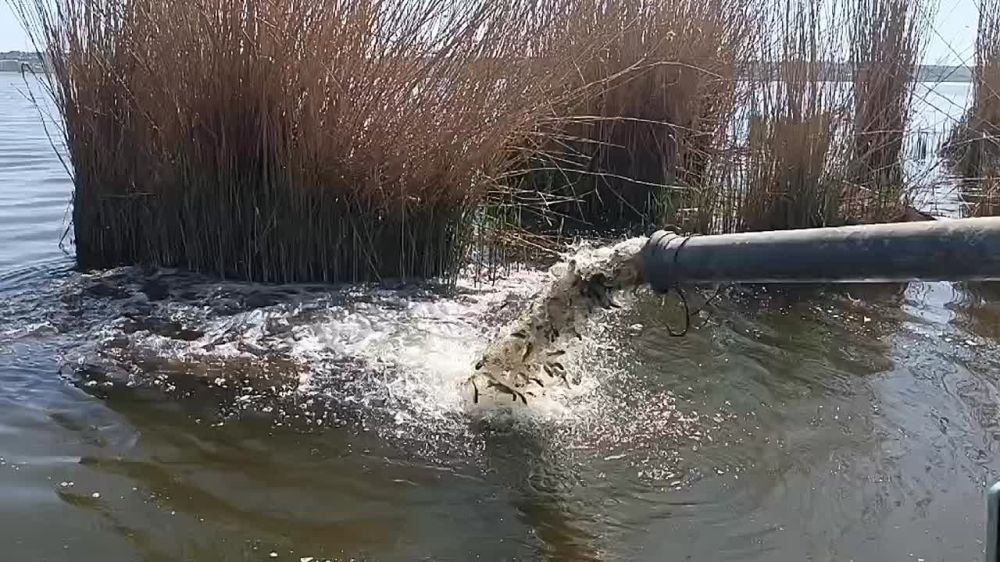 За три дня: 18 апреля, 22 апреля, 23 апреля, специалистами министерства совместно с представителями организаций по выращиванию рыбопосадочного материала в естественную среду обитания выпущено более 10 тонн рыбы