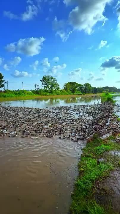 � ����� �������� ���������� ����� ����������� �� ������� ����� ����