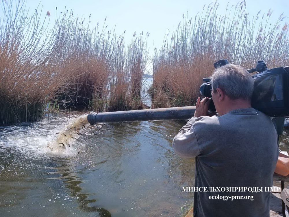 ������ �������� ����������: ����� ������� � ���������