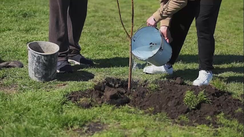 �������� ������. ��������� ���������� ����