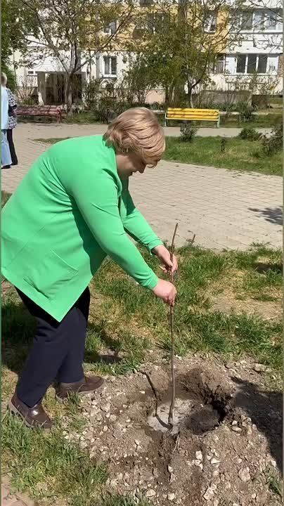 «Это у нас уже рябинка». Вице-спикер Галина Антюфеева – на субботнике в Тирасполе