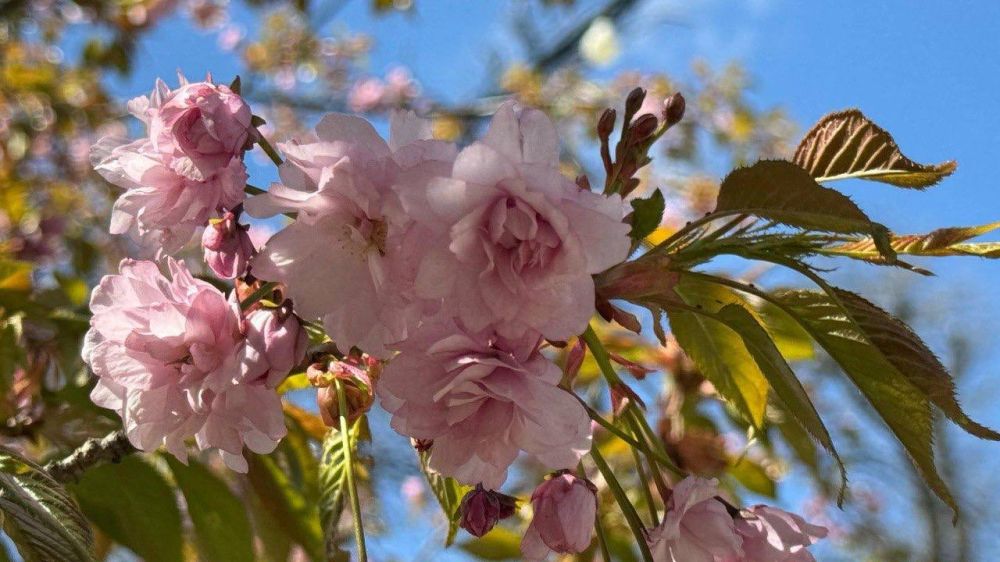 ��� �������� ��������� ����� �� ����� �� � ��, 25 ������ ��������� ���������� ����������, �� ������ �������� ��� ������� ��������������� �����, �������� �����