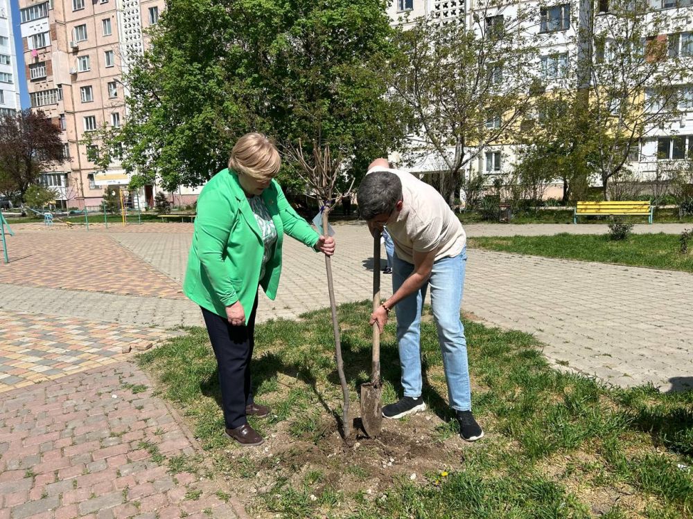 Катальпа, рябина, клён и шелковица — около 40 деревьев высадили сегодня в микрорайоне Западный