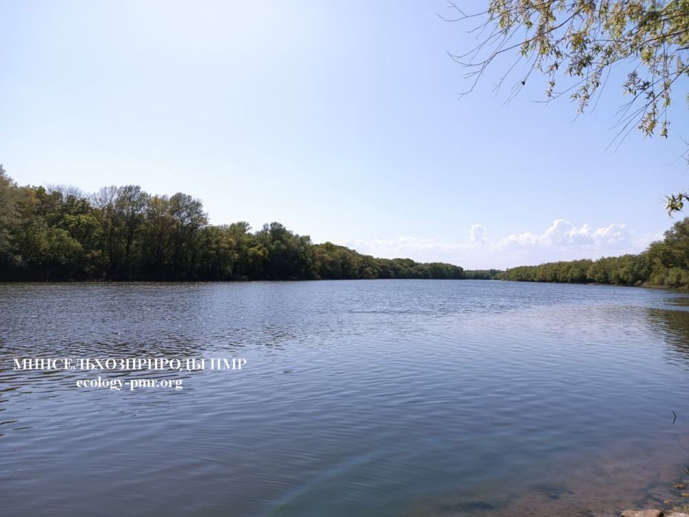 ������� ������ � 28 ������ �� 4 ���