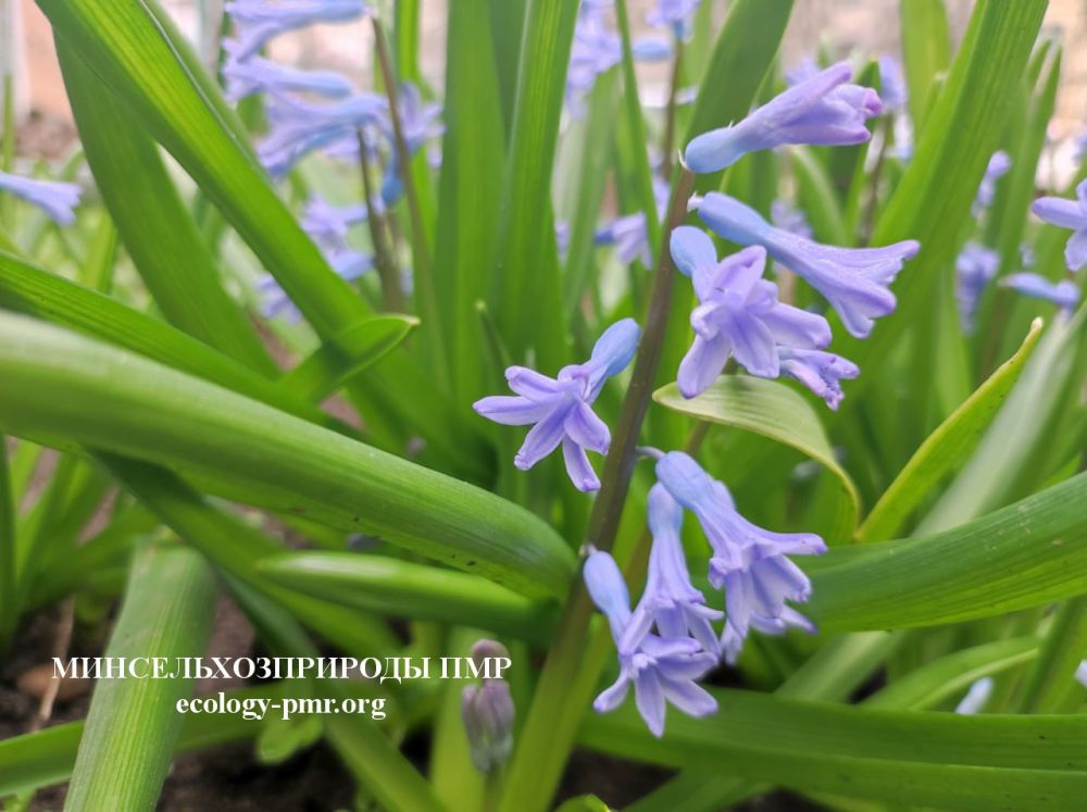 ���� �������� � ����, �� ����� �� ��������