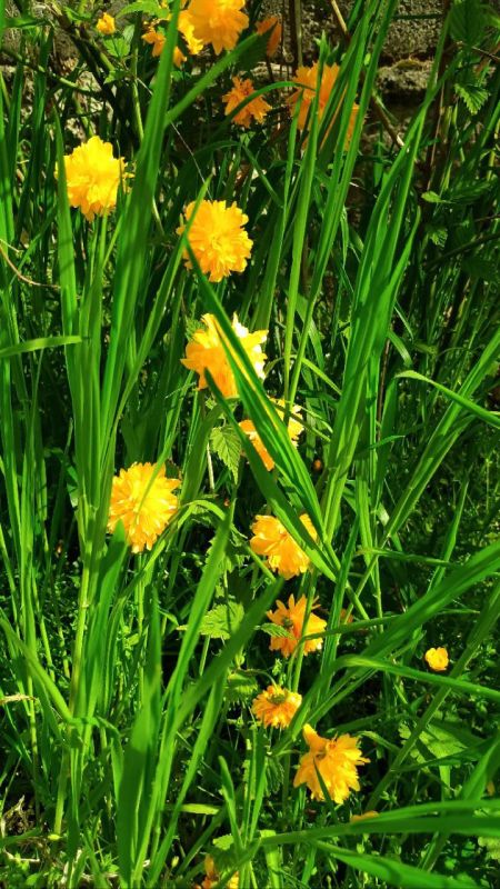 ������, ��������, ������� � ����� � �������