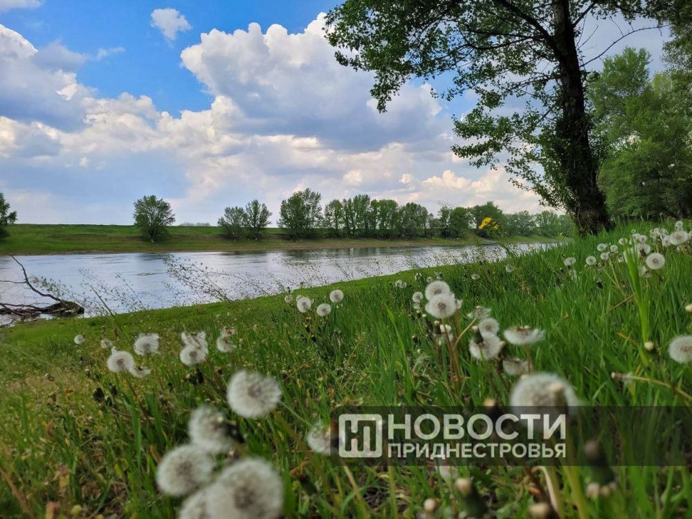 � ��������� ���� ������ ����������, � � ����� ��� ������ ������ � ������