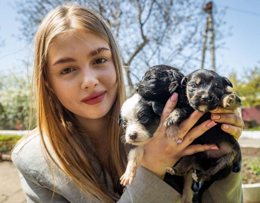 ����� � ������ ����.. ��� ����� ��� ����� �� ������ �� ����������, ������ � ���������. ������������ �� "������ ���������� ��������" ���� ������ �������: �� ���� �������� �� ������ ����������� ������� ��������� ������ ����...