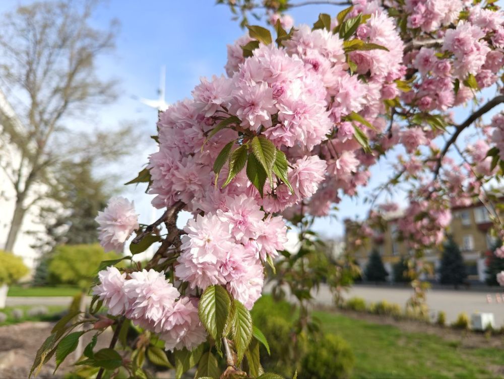 ��� �������� ��������� ����� �� ����� �� � ��, 26 ������ ��������� ���������� ����������, �������