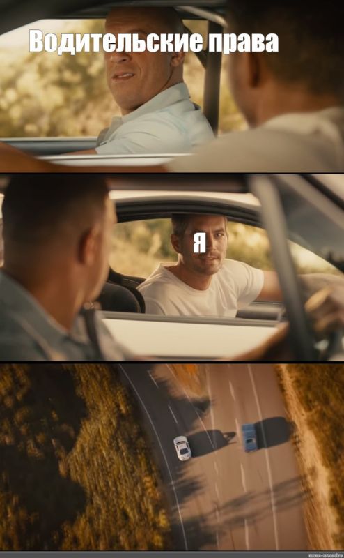 � ��������� 43-������ ������� ���������� �������� ������������ ������������� �� ��������� ����������