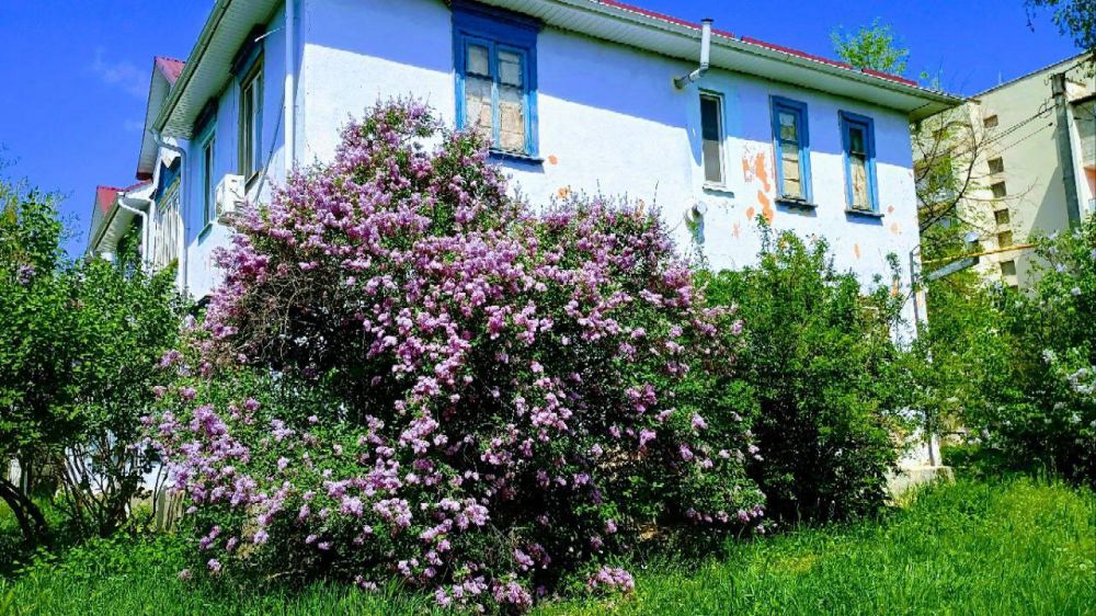 ���� �� ������ ����� ������