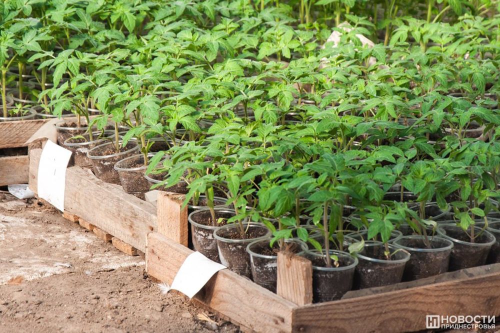 � 30 ������ ��� ������ ���������� ������� ������� �������