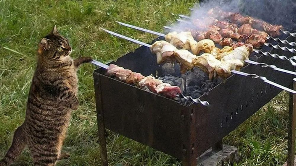 �������������� ���� ��� ����������� ������� ������ � ���