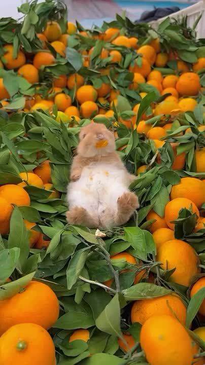 ������ ������� � �������. ��������� �����? ������ ����, ����� �������, ������ ���������� ����� ����? ��-�� ���� ������� � ������ ������ �������� �������� ����