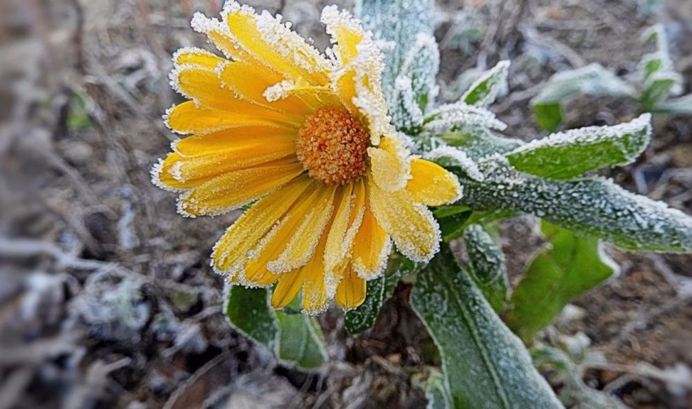 � ������������� ������� ����� ��������� ���������: � ������� �� ������ �� -3��, �� ��� 0...-2��, �� ����������� ����� �� -6��, �������� �������������