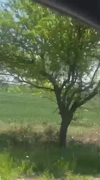 �������� ���� ���������� ����� ����� � ����� � ���������������