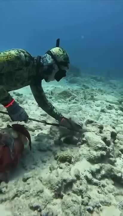 ���� �����: � ���������� ���� �������� ���� �� ������� �������, ����� ��� ��������� �� ������