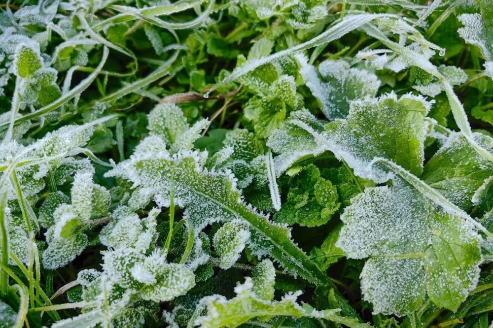 ������ � ������������� ��������� ���������