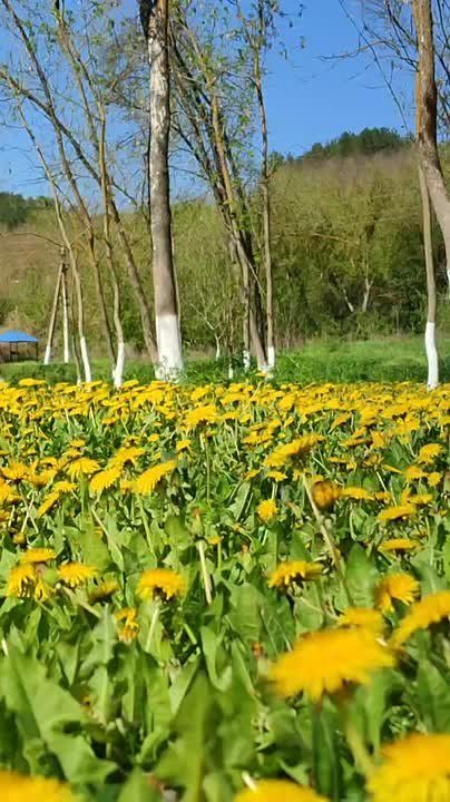 ���� ����������� � ������ (��������� �����)