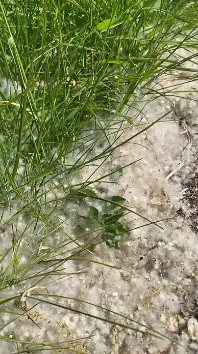 ����� ����� � �������������� ����� ����������� ��������� �����