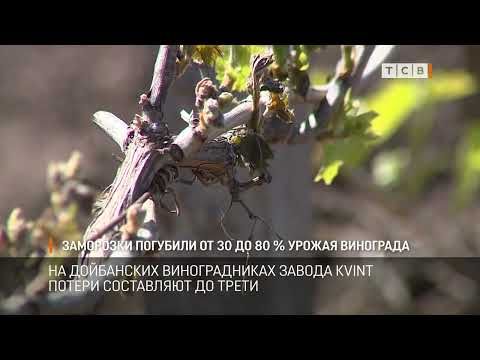 ���������� ��������� �������� ������� �� �������������