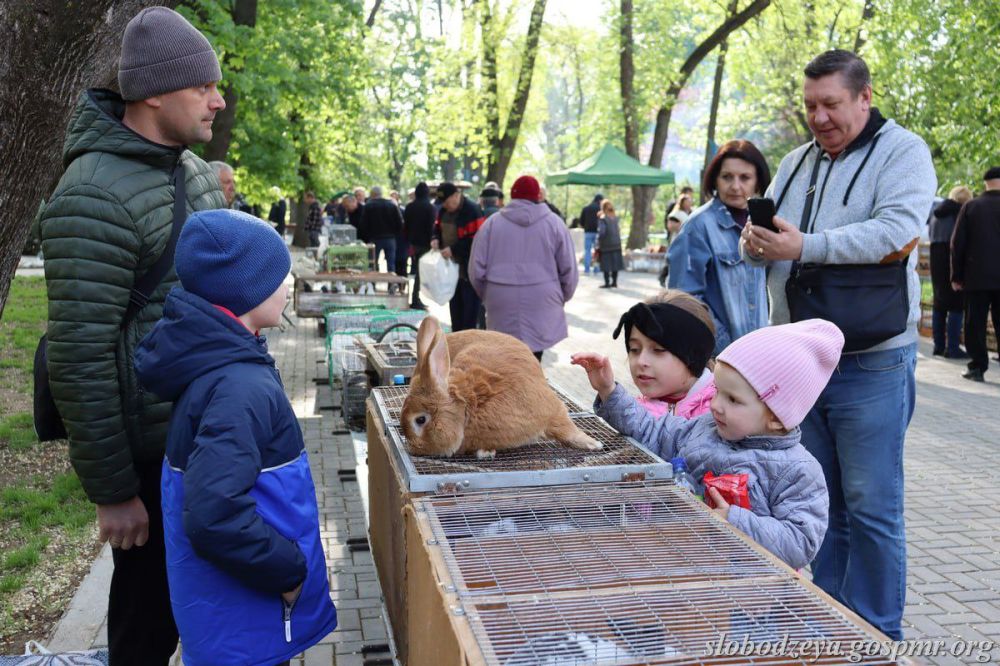 ������, ��� ��������� ��������� �� ���������, ����� �� �������� � �������� 3 ��� � ����� ������� ������