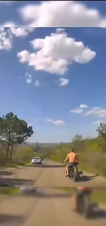 ������� ������ �� ������������� � ����� ������ � �����������