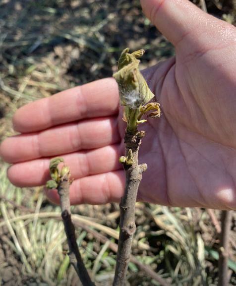 ��������� ��� ��������. ����� ������, � ����� �����