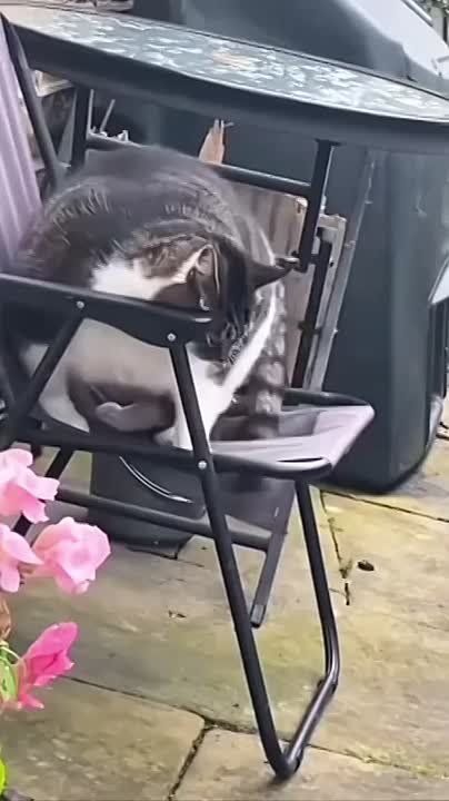 ������� �� ������� �� ���������? � ������� ��� �����