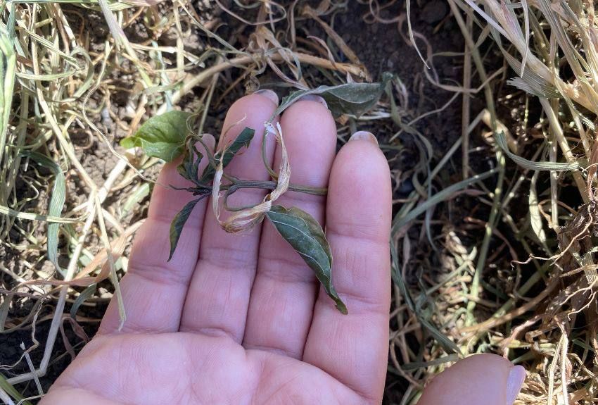 �������� � ���������� �� ���������� ��������������� ��� �����, ��� ������� ��������