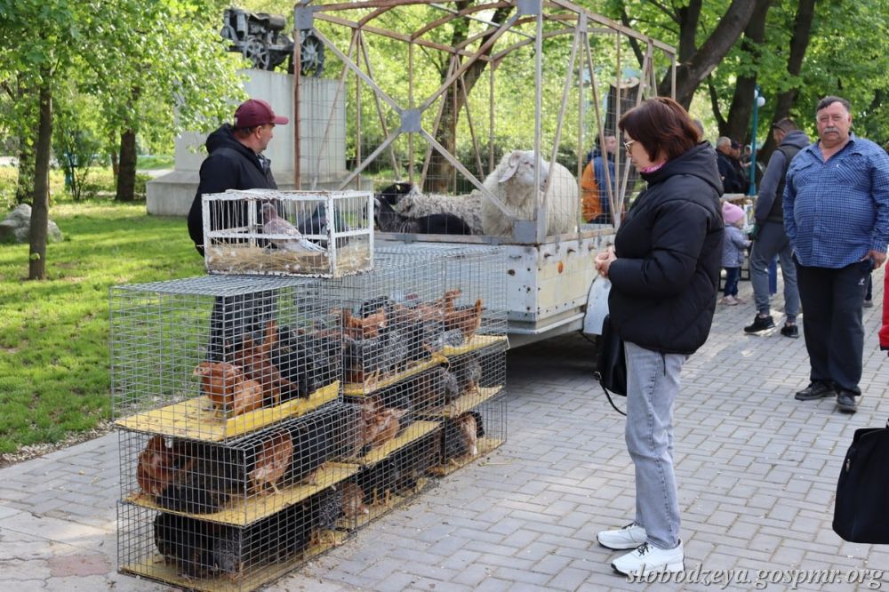 3 ��� � �������� ������ ��������-������� �������� ���� � ��������