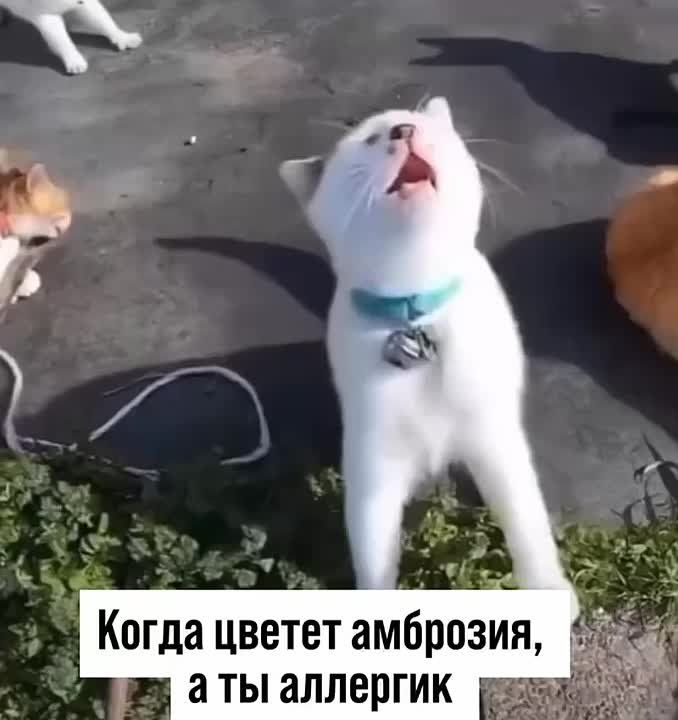 ������ ��������� ������ ������� �������� �� �������� � ����� ���������� ���