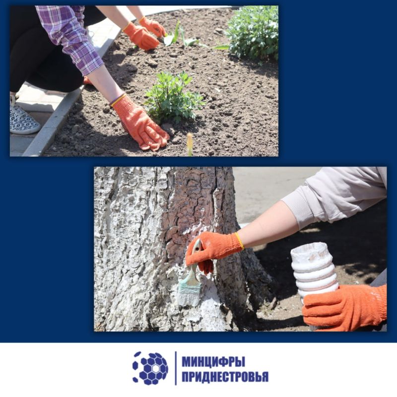 ���������� �������� ����� �� ���������