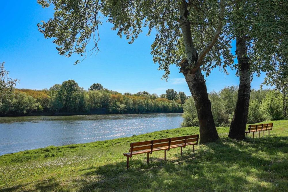 ������������� ���Ȼ ����������� ���������-��������� ������������ �������