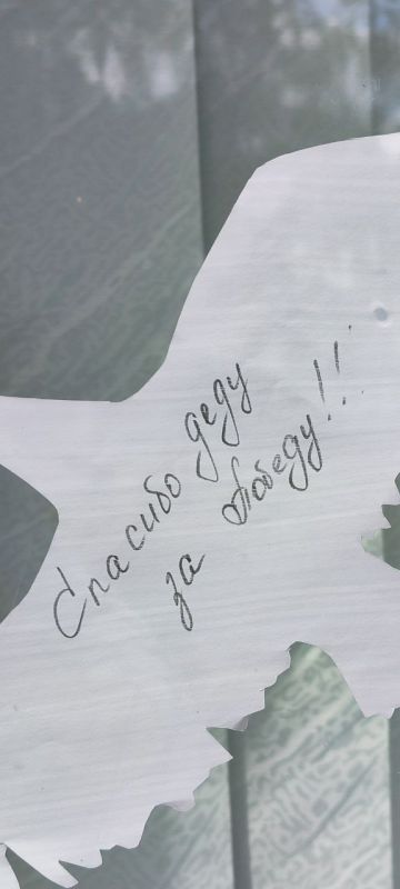 «Журавли памяти» – на окнах в Каменке