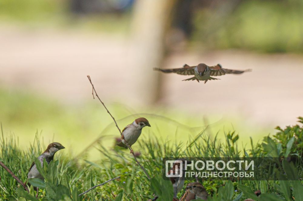 �� +26�� ������� ��������� �� ��������� ������