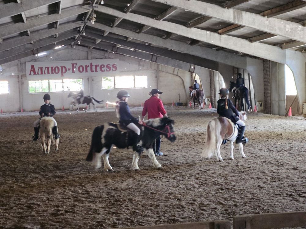 ������������ �� ������� ������� � ������ ����� "�����"