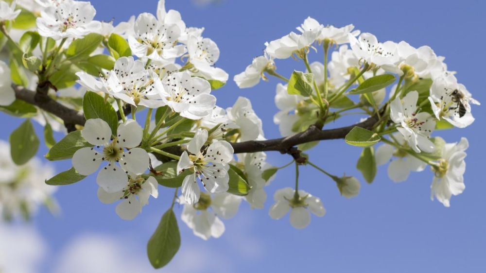 1 ��� � �������� ����� � �����!