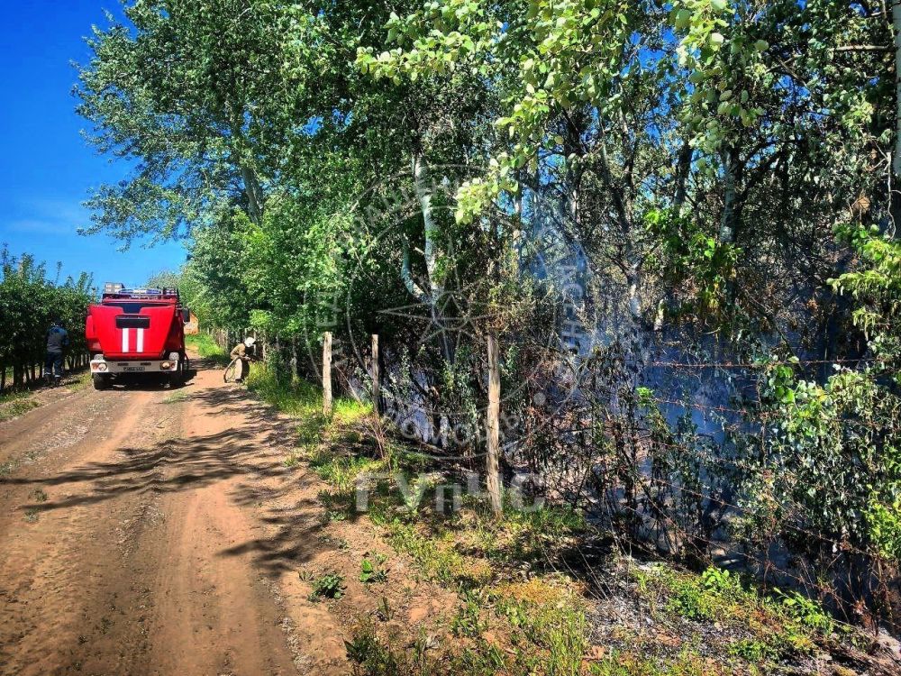 В селе Кременчуг горела лесополоса