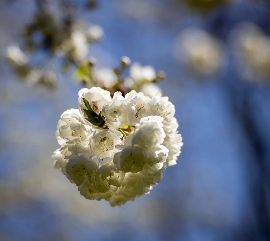 ����� ���� �����.. ���� ������� �������