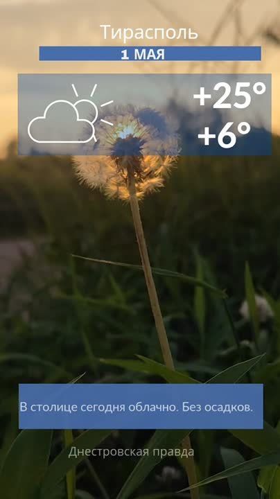 ������ �� �������