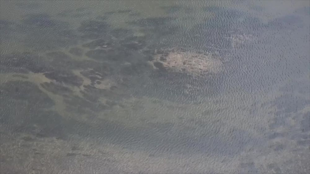 ��� ��� ����� ������ ��� ����� �� ����� ������� � �������� � ����� ���